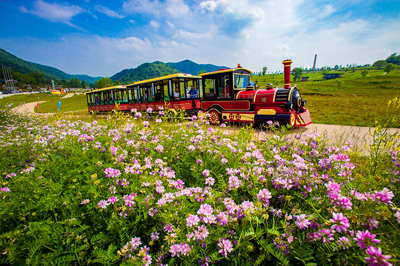 小火車(chē).jpg